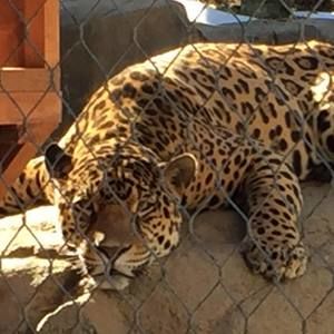 Meet your Posher, Jeana